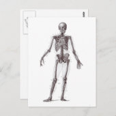Vollständiges Skelett Postkarte (Vorne/Hinten)