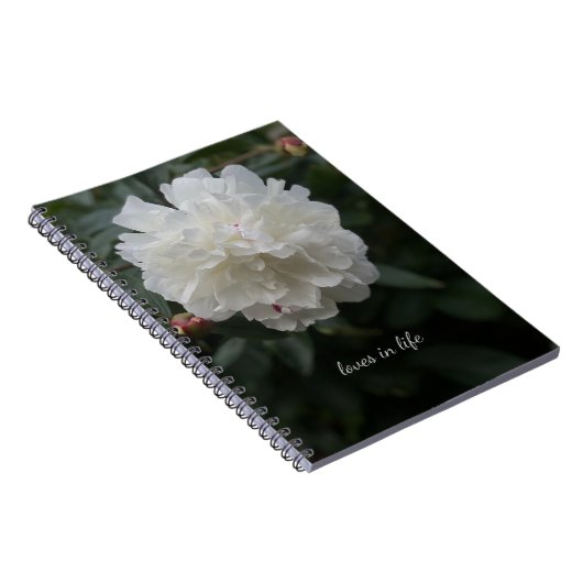 Vollweißes Peony Notizblock (Rechte Seite)