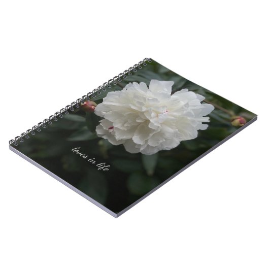 Vollweißes Peony Notizblock (Linke Seite)