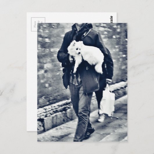 vollwertiger Output_c78 Schwarz-Weiß-Spitz Postkarte (Vorne/Hinten)