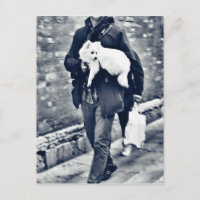 vollwertiger Output_c78 Schwarz-Weiß-Spitz