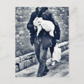 vollwertiger Output_c78 Schwarz-Weiß-Spitz Postkarte (Vorderseite)