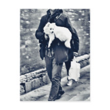 vollwertiger Output_c78 Schwarz-Weiß-Spitz