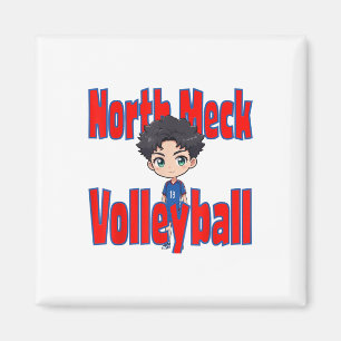 Vollyball im Norden Mecklenburgs Magnet