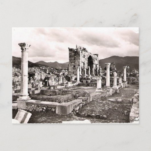 Volubilus Postkarte (Vorderseite)