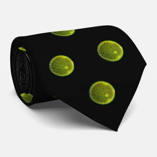 Volvox Krawatte (Gerollt)