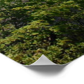 Vom besiegten Weg Country Lake Landschaftsposter Poster (Ecke)