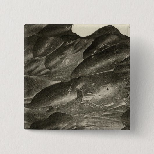 Vom Colorado geschnitzter Felsen Button (Vorderseite)
