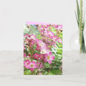 Vom Felsgarten 1 Feiertagskarte (Rückseite)