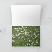 Vom Fenster! Karte (Innenseite)