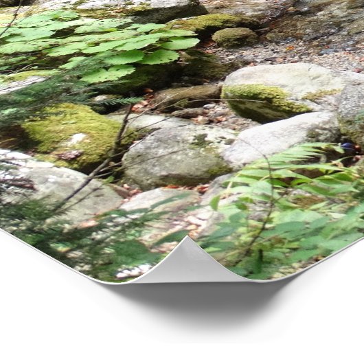 Vom Fluss Fotografy Poster (Ecke)