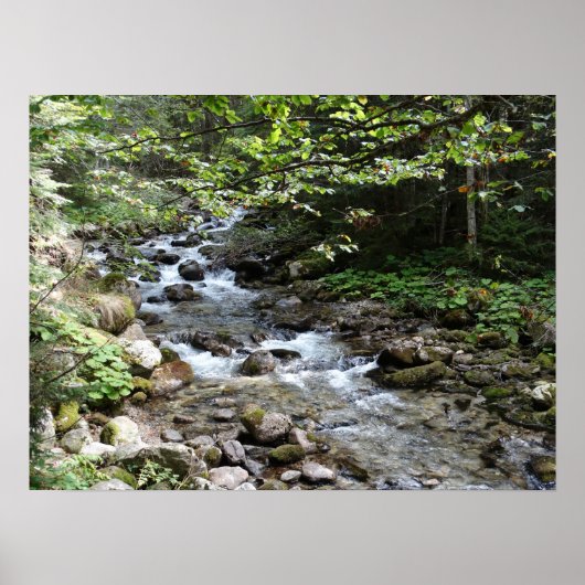 Vom Fluss Fotografy Poster (Vorne)