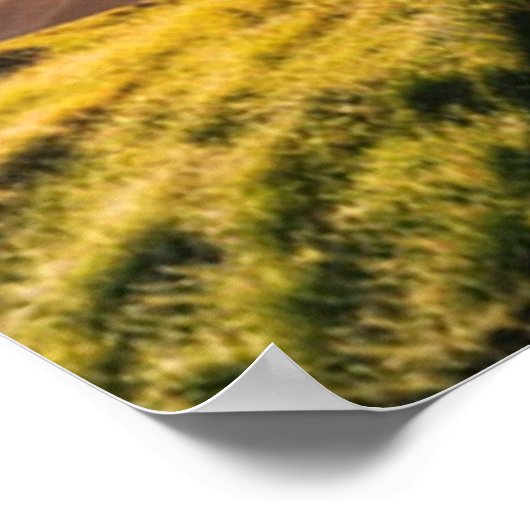 Vom Grabplakat Poster (Ecke)