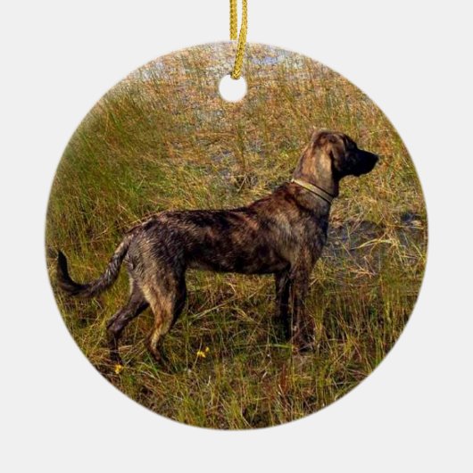 Vom Hund-benutzerdefinierten Ornament (Vorne)