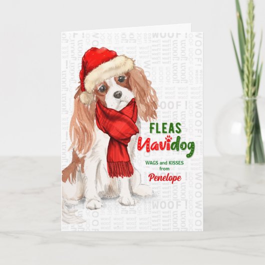vom Hund Funny Cavalier King Charles Weihnachten (Vorderseite)