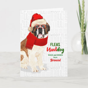 vom Hund Niedlich Saint Bernard Weihnachten