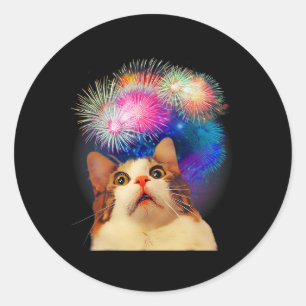 vom Juli Feuerwerk begeisterte Katze Runder Aufkleber
