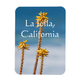 Vom Meer La Jolla, Kalifornien Magnet