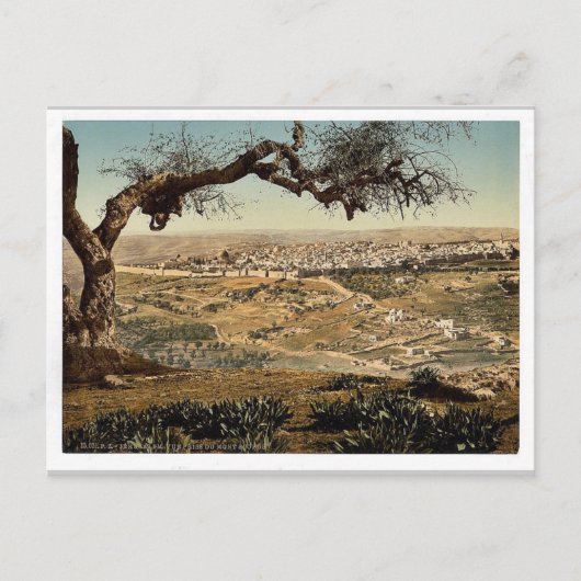 Vom Mount Scopus, Jerusalem, Klassiker des Heilige Postkarte (Vorderseite)