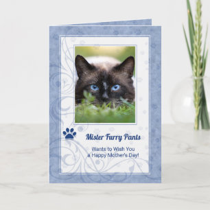 vom Muttertag der Katze in Periwinkle Blue Foto Karte