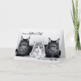 vom Pet Funny Mother Day Three Tabby Cats Dankeskarte
