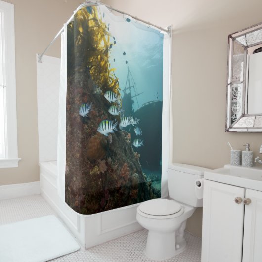 Vom Riff verborgenes Schiff, Fischschule Duschvorhang (Beispiel)