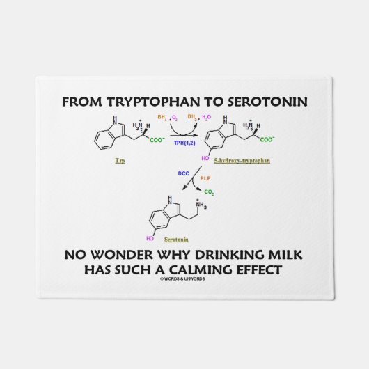 Vom Tryptophan zu Serotonin-Milch-beruhigendem Fußmatte (Vorderseite)