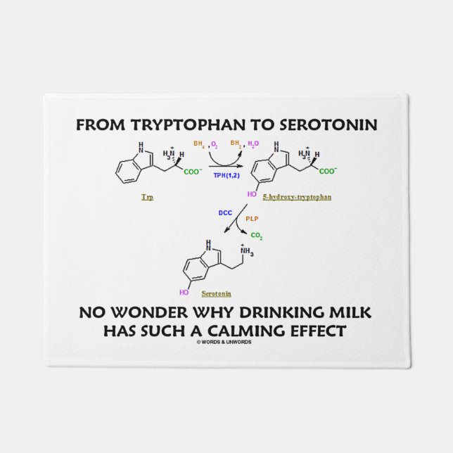 Vom Tryptophan zu Serotonin-Milch-beruhigendem Fußmatte (Vorderseite)