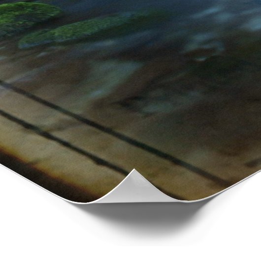 vom Wasser bepflanzt Poster (Ecke)