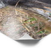 Vom Wasser Stehender Holzwolf Fotodruck (Ecke)