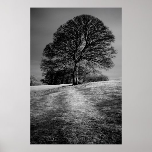 Vom Wind geformt Poster (Vorne)
