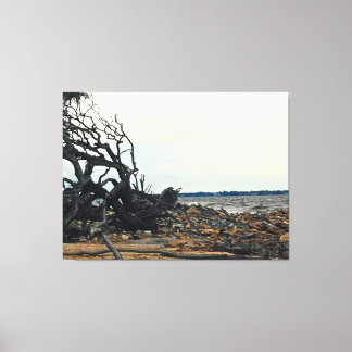 Vom Wind geprägter Baum an einer felsigen Küste Leinwanddruck
