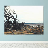 Vom Wind geprägter Baum an einer felsigen Küste Leinwanddruck (Insitu (Holzboden))
