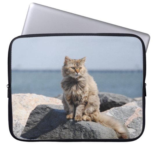 Vom Wind zerzauste Katze am Meer Foto Laptopschutzhülle (Vorderseite)