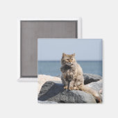 Vom Wind zerzauste Katze am Meer Süßes Foto Magnet (Vorderseite/Rückseite)