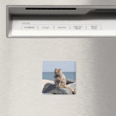 Vom Wind zerzauste Katze am Meer Süßes Foto Magnet (In Situ (Geschirrspüler))