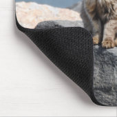 Vom Wind zerzauste Katze am Meer Süßes Foto Mousepad (Ecke)