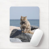 Vom Wind zerzauste Katze am Meer Süßes Foto Mousepad (Mit Mouse)