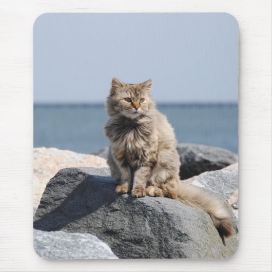 Vom Wind zerzauste Katze am Meer Süßes Foto Mousepad (Vorne)