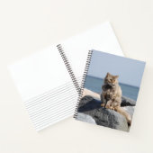 Vom Wind zerzauste Katze am Meer Süßes Foto Notizblock (Innenseite)