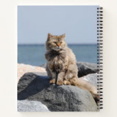Vom Wind zerzauste Katze am Meer Süßes Foto Notizblock (Rückseite)