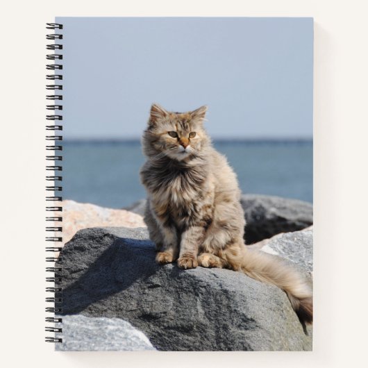 Vom Wind zerzauste Katze am Meer Süßes Foto Notizblock (Vorderseite)