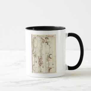 Von Albany nach Newborough 32 Tasse