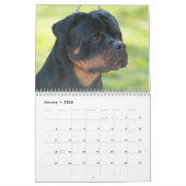 Von Aufstand Rottweilers Kalender (Jan 2026)