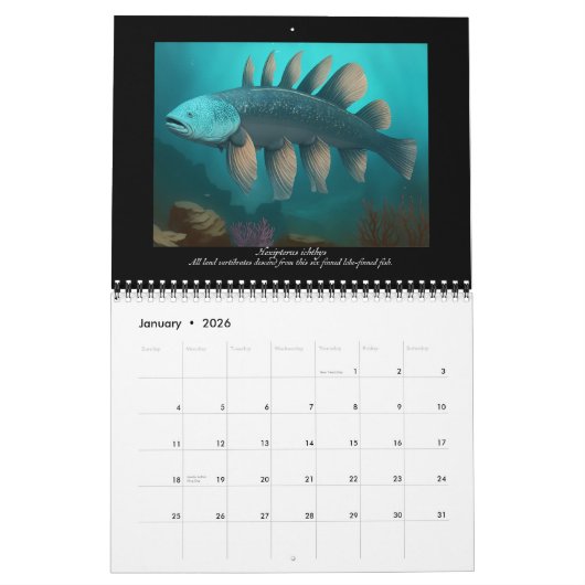 Von Bußen zum Feuer: Die Herkunft der Draconianer Kalender (Jan 2026)