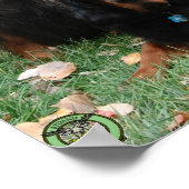 VON COURARAY NOT CRAFT Gordon Setter Poster (Ecke)
