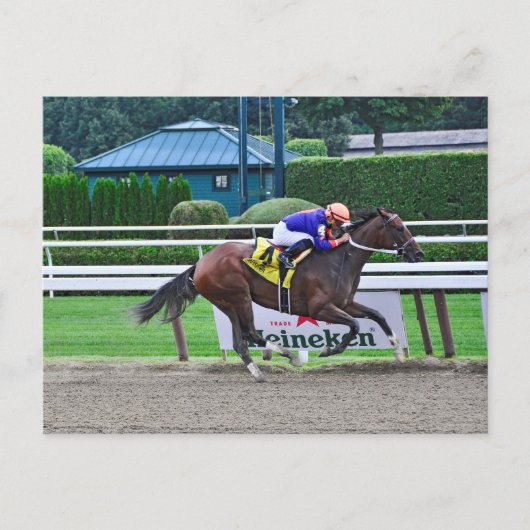Von Curlin & Harve De Grace Postkarte (Vorderseite)