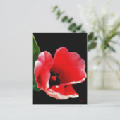 Von den Postkarten des Gartens (Stehend Vorderseite)