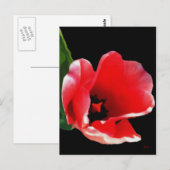 Von den Postkarten des Gartens (Vorne/Hinten)