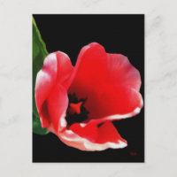 Von den Postkarten des Gartens